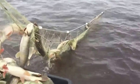 Путина началась. В Аксарке заготовили две тысячи кубов льда