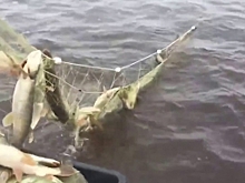 Путина началась. В Аксарке заготовили две тысячи кубов льда