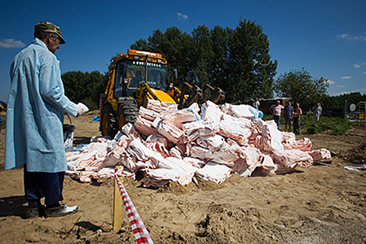 Россельхознадзор не допустит реэкспорта санкционной продукции через Сан-Марино