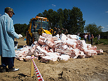 Россельхознадзор не допустит реэкспорта санкционной продукции через Сан-Марино