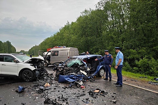 Два человека погибли в дорожной аварии в Ярославской области