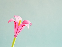 Школа в Сокольниках запустила конкурс «Цветок добра»