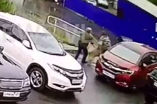 Во Владивостоке собака набросилась на женщину с маленьким псом