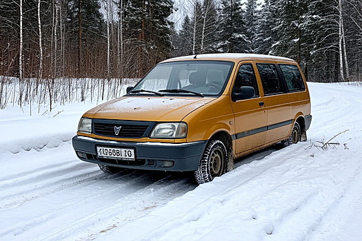 Пять россиян застряли в заглохшей машине и едва не замерзли насмерть