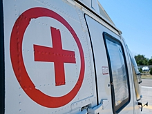 В Алексеевском районе ГАЗ задавил 60-летнего рабочего