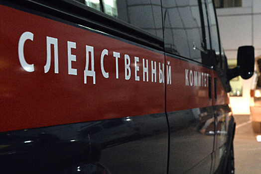 СК проверит инцидент с падением лифта на рабочих в Москве