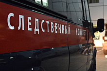 Председатель СК РФ поручил изучить сведения о возможной незаконной застройке в Москве