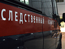 СК начал проверку информации о нарушении прав ребенка‑инвалида в Ивантеевке