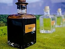 Татарстан готов поставлять в Гагаузию химические и нефтехимические товары