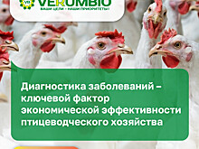 Приглашаем на бесплатный вебинар «Диагностика заболеваний — ключевой фактор экономической эффективности птицеводческого хозяйства»