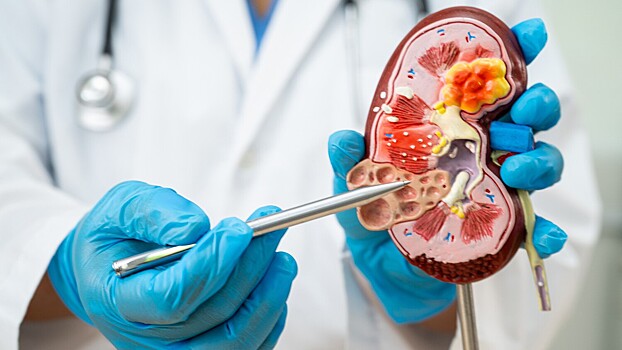 Найден способ предсказать риск заболеваний на годы вперед