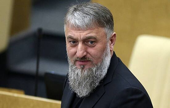 Делимханов может стать первым замглавы комитета Думы  по безопасности