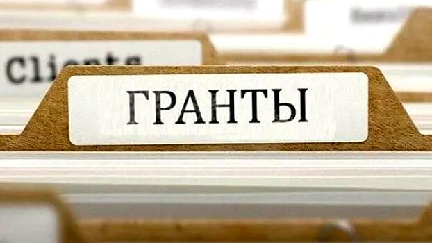 Больше 50 НКО Вологды участвуют во втором региональном конкурсе грантов