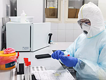 Врач рассказал, как формируется иммунитет против COVID-19