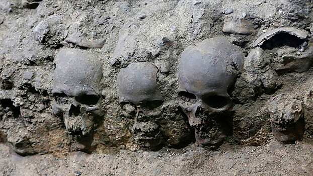 Тайна ацтеков: в Мексике археологи обнаружили башню из черепов