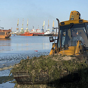 Новая напасть. Пляжи Азовского моря в Бердянске покрыло водорослями