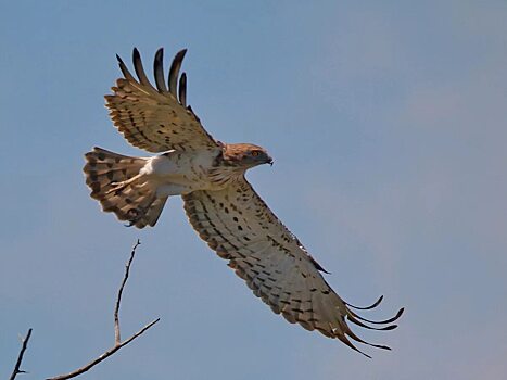 Три новых заповедных уголка природы появились в Выселковском районе