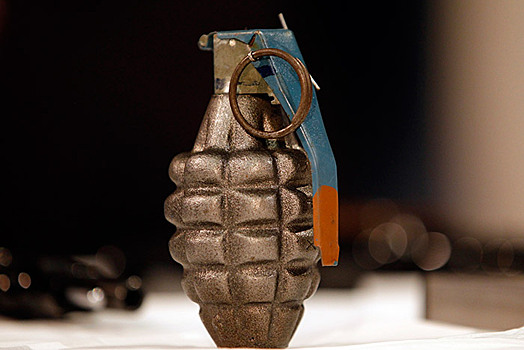 В Австрии подросток нашел гранату и принес ее в полицию