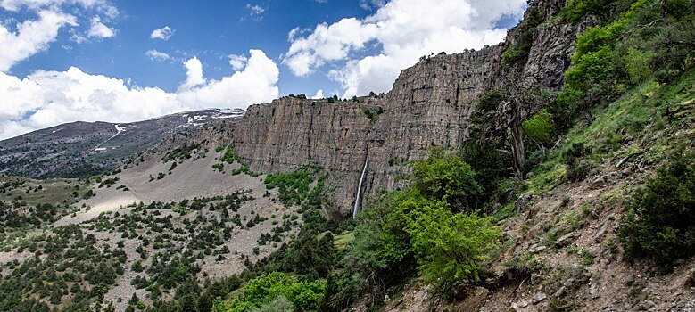 В Узбекистане упал афганский самолёт