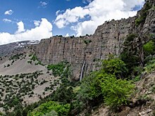В Узбекистане упал афганский самолёт