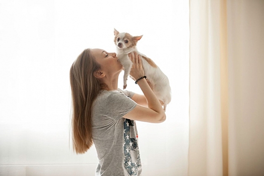 Маленькие собаки - большие личности: Hill’s запустил проект о четвероногих помощниках