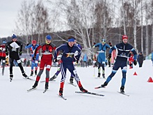 Челябинские ориентировщики взяли медали на чемпионате и первенстве УрФО