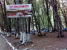 Долой вонючие туалеты: Минэкологии начало войну с объектами у дороги в Губе