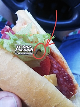 Эксперт рассказал, почему в огородах много слизней и как от них избавиться