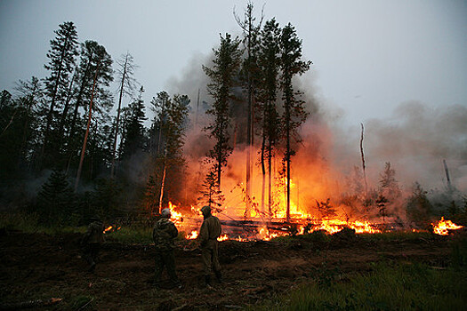 Глава Минприроды попросил выделить до 3 млрд рублей на тушение пожаров
