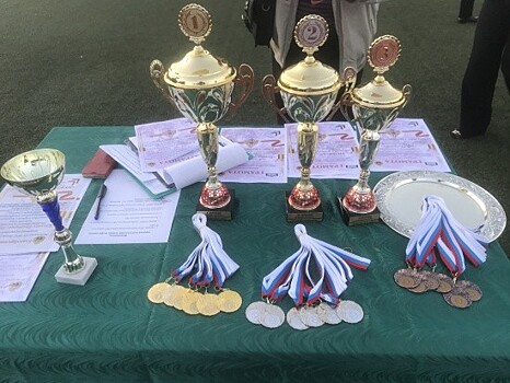 Под эгидой МЧС состоялся II спортивно-патриотический фестиваль для севастопольских кадет