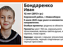 В Новосибирске пропал 12-летний кареглазый мальчик с родинкой на лбу