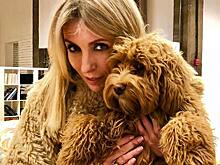 23 марта: самые интересные фотографии и новости из Instagram звезд