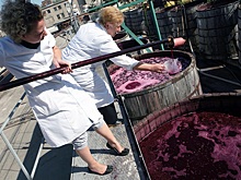 Фермеры-виноделы просят ввести спасительные проверки