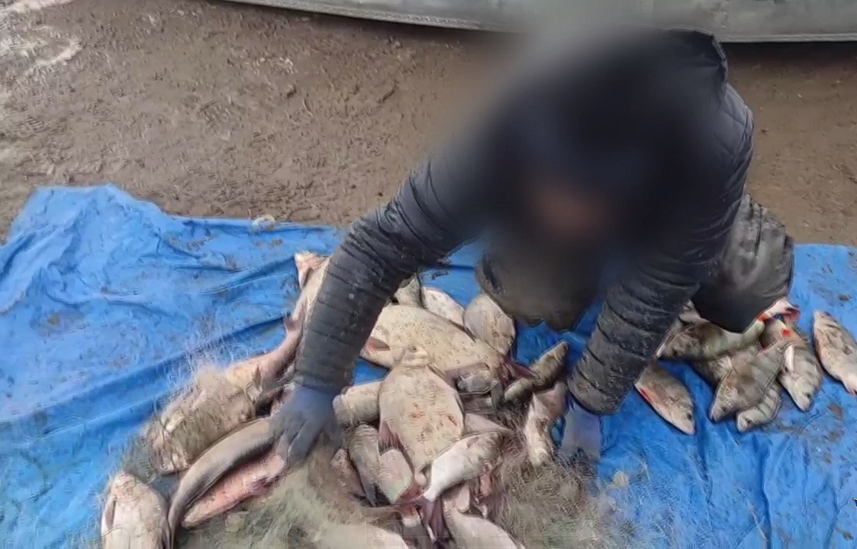 В Новосибирске 54-летний рыбак пойдёт под суд за ловлю окуней и щук