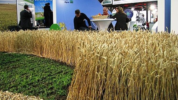 В международной агровыставке примут участие 400 компаний