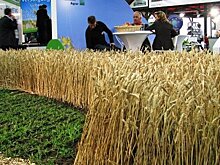 В международной агровыставке примут участие 400 компаний