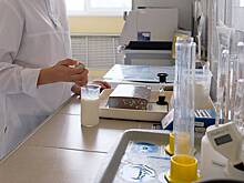 В Карелии появится первая лаборатория для международной сертификации пищевой продукции