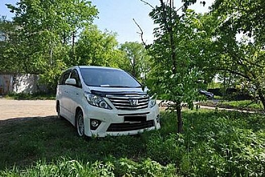 Хабаровчан массово штрафуют за парковку на газонах и неправильный выгул собак