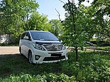 Хабаровчан массово штрафуют за парковку на газонах и неправильный выгул собак