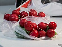 Через Курганскую область не пропустили 1,5 тонны овощей и фруктов для Югры