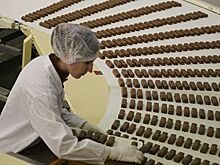 Новый производственный комплекс «Рот Фронта» построят в Бирюлево Западном