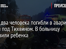 Фото: два человека погибли в аварии с фурой под Тихвином. В больницу доставили ребенка