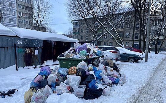 В Рязани прокуратура отреагировала на невывоз мусора "Эко-Пронском"