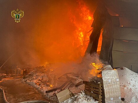 Прокуратура устанавливает детали пожара на складе в Раменском