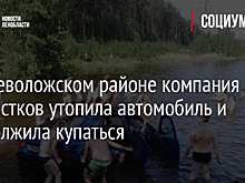 Во Всеволожском районе компания подростков утопила автомобиль и продолжила купаться