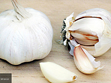 Ученые назвали главную пользу чеснока для здоровья