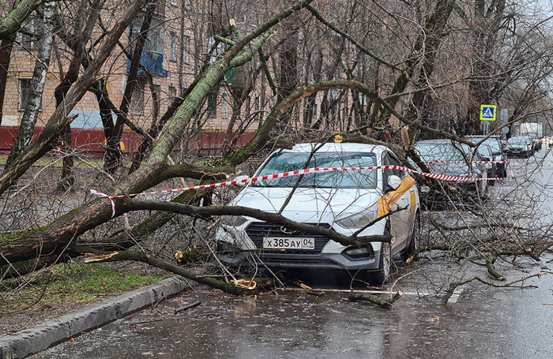 Сильные новости в москве. Ураган в Москве. Ураганный ветер в Москве. В Москве ветер повалил деревья. Штормовой ветер в Москве.