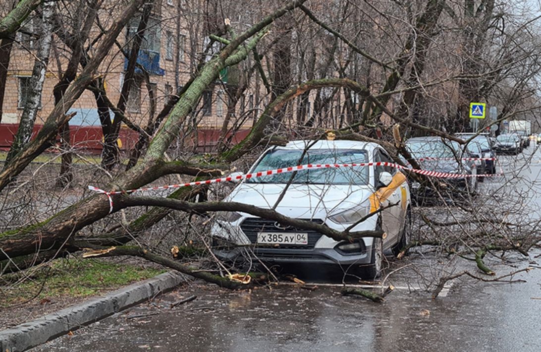 Бури в москве сейчас