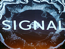 Фестиваль Signal поделился планами на следующий год