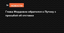 Здунов намерен сосредоточиться на развитии в Мордовии бизнеса и инвестклимата